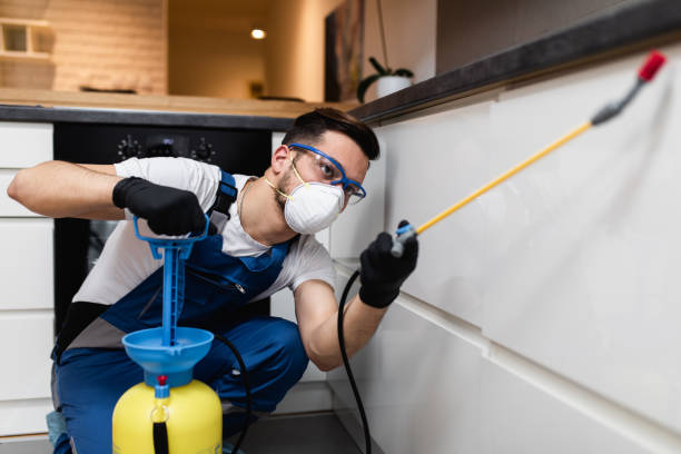 Best Pest Prevention Services  in Strathmore, CA
