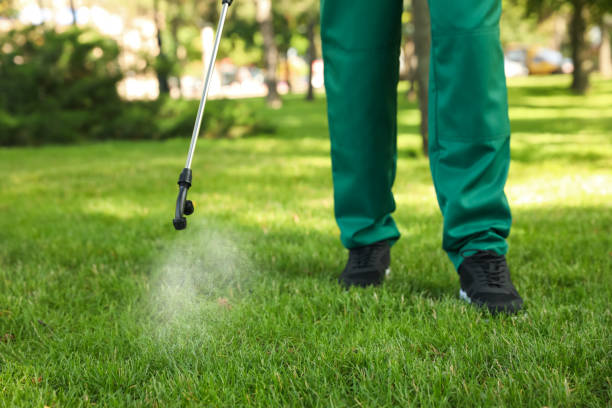 Best Rat Extermination Near Me  in Strathmore, CA