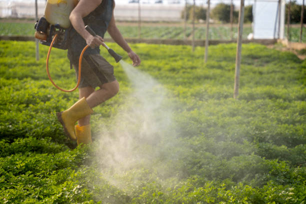 Best Residential Pest Control  in Strathmore, CA