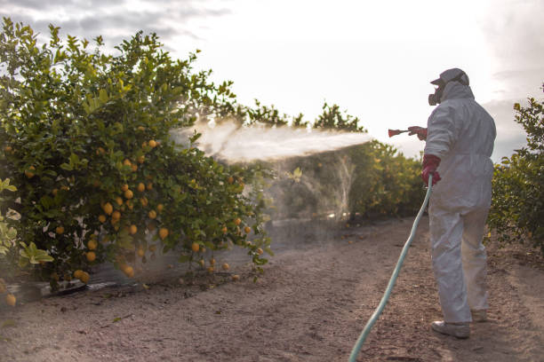 Reliable Strathmore, CA Pest Control Solutions