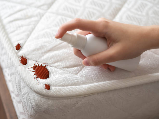 Best Mosquito Control Services  in Strathmore, CA