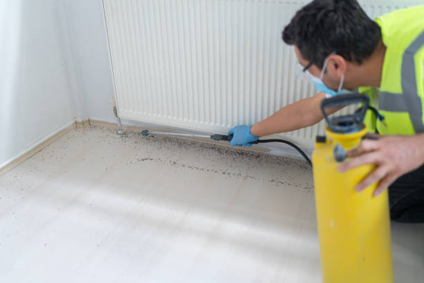 Best Cockroach Control Services  in Strathmore, CA