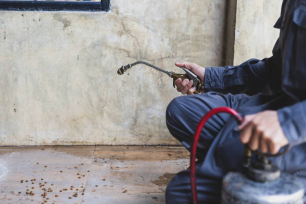 Pest Control Cost in Strathmore, CA
